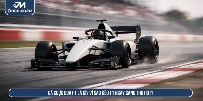 Cá Cược Đua F1 Là Gì? Cách Đặt Kèo F1 Chuẩn Từng Chặng 1 Cá cược đua F1 là gì? Vì sao kèo F1 ngày càng thu hút?
